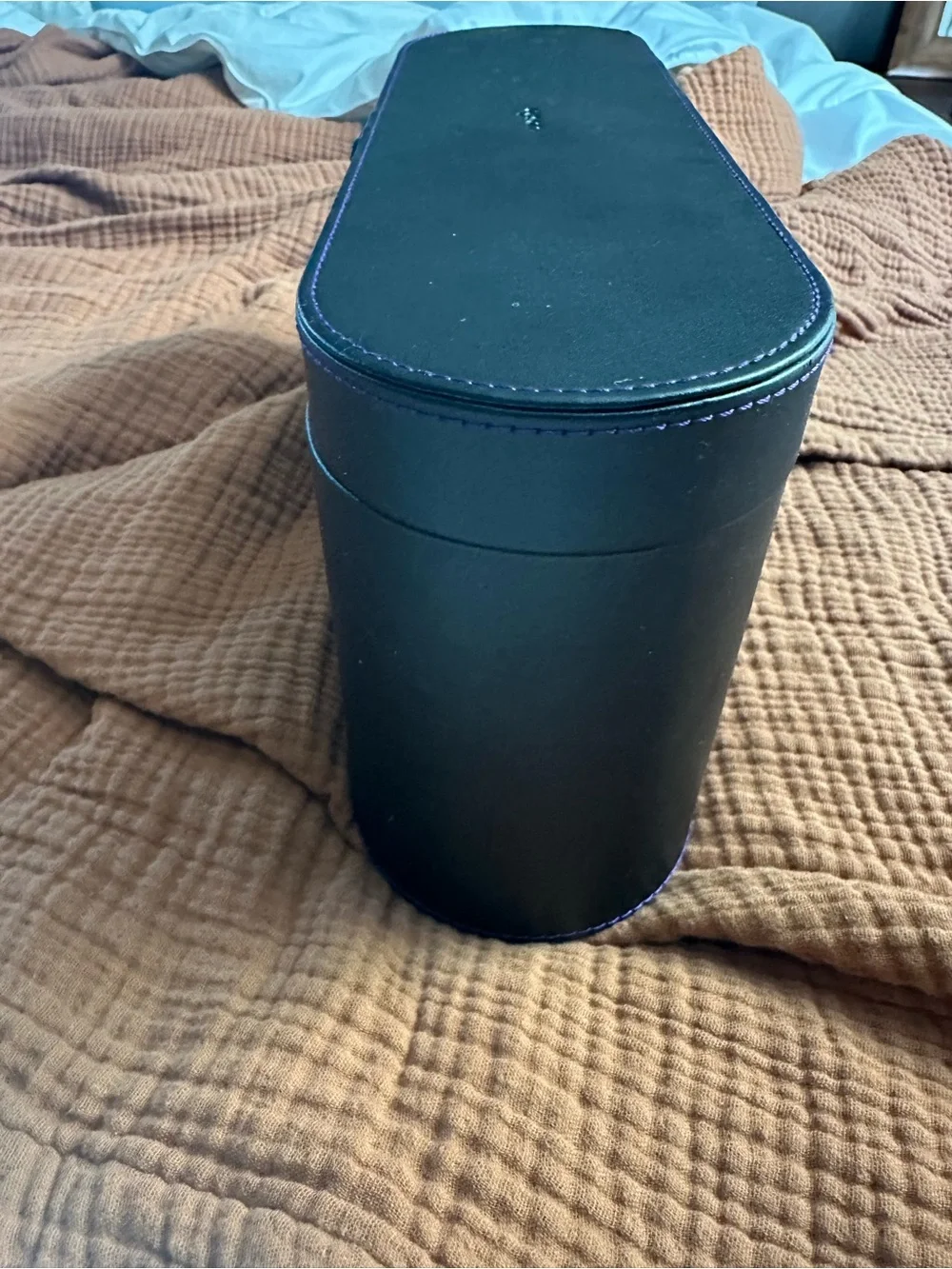 Dyson protective travel